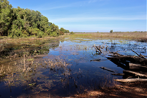 Fogg Dam Conservation Reserve