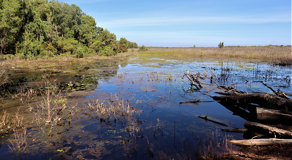 Fogg Dam Conservation Reserve