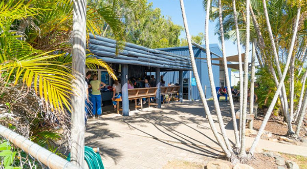 Skydive艾尔利海滩跳伞