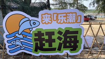 红树林乐潮赶海