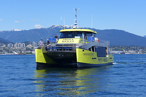 鲸鱼王子赏鲸公司