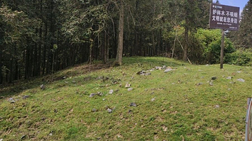 仙女山国家森林公园-石门坎