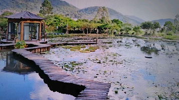 和园九品莲花生态园