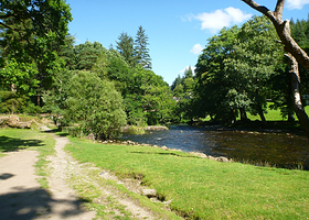 Gwydir Forest Park