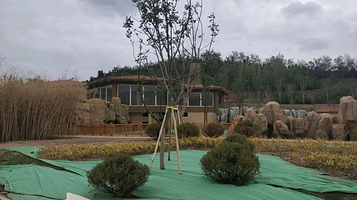 兰州野生动物园-大熊猫馆