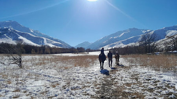 Nomadic Gulsary Stables - Equine Escapes