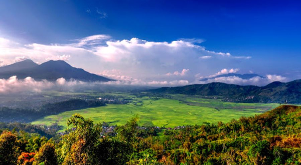 Lingko Spider Web Rice Fields