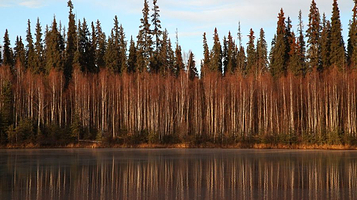 Chena River State Recreation Area