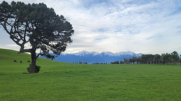 Kaikoura Peninsula