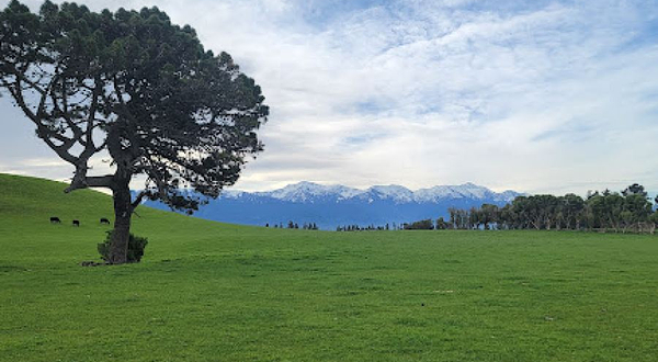 Kaikoura Peninsula
