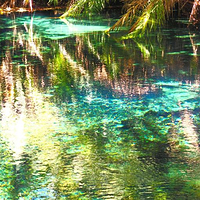 Kikuletwa Hotsprings