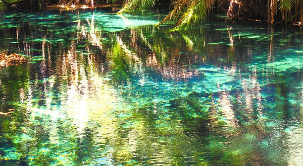 Kikuletwa Hotsprings