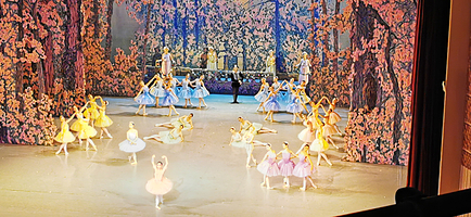 马林斯基剧院滨海分院