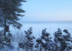 拉普兰森林博物馆