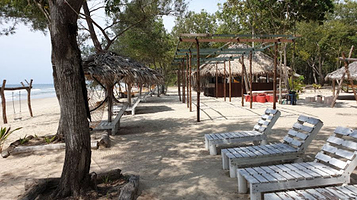 天空之境红树林