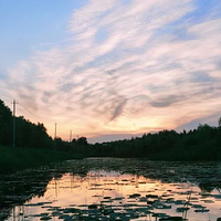 大安市嫩江湾国家湿地公园外滩