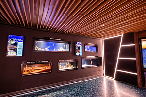 AquaRio里约水族馆