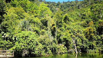 Khlong Chak Bat Cave