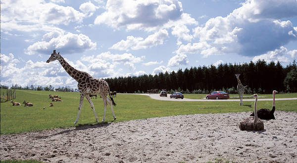 Givskud Zoo - Zootopia