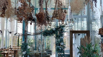 岁月静好玫瑰园