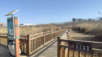 秦王川国家湿地公园2期