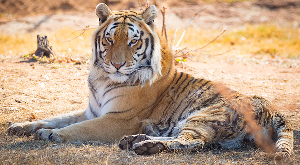 Ukutula Conservation Center
