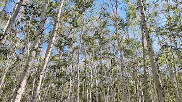 Baza Otdykha V Gostyakh U Skazki Ul Zh.zhabayeva 25