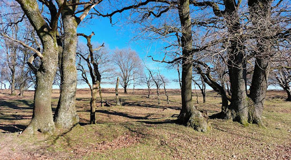 De Braak (Nationaal Park Veluwezoom)