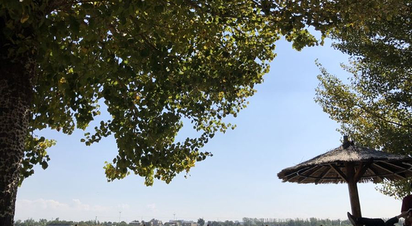 沈阳鸟岛-观景平台