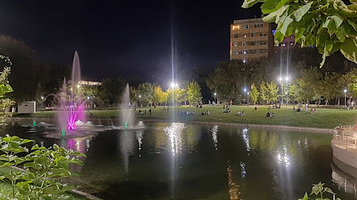 Prezïdent sayabağı