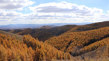 大青山国家森林公园