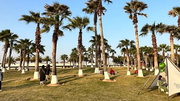 厦门十里长堤-露营地