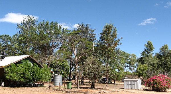 花岗岩峡谷自然公园