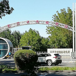 石河子市植物园