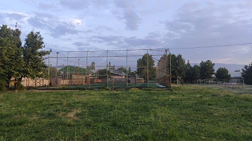 Стадион ( газон )