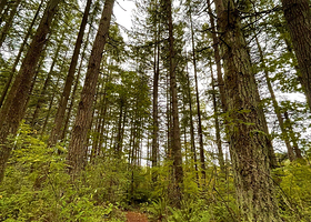 坎贝尔谷地区公园