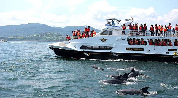 Seacruise熊本观光船