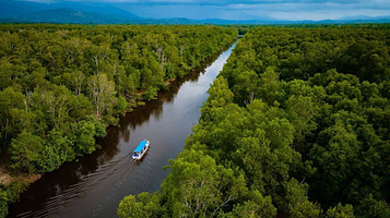JSK Rampayan Jetty (JSK River Cruise)