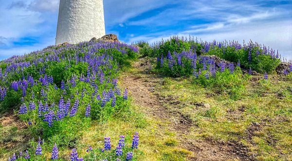 Reykjanes Lighthouse