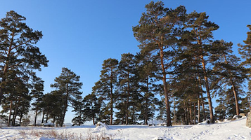Verevochnyy Ekstrim-Park