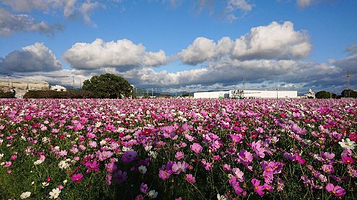 Kirin Beer Fukuoka Brewery