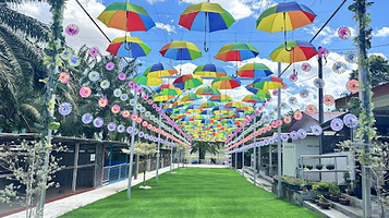 迪沙鲁迷你动物园