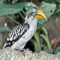 水族馆－水上动物园