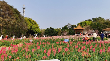 雀山公园四季花海