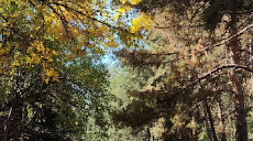 Memorial for the soviet soldiers fallen in Afghanistan