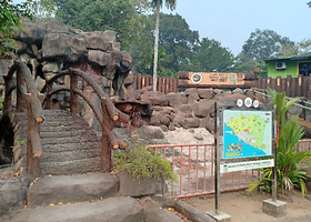 马六甲鳄鱼娱乐公园