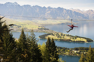 Ziptrek Ecotours生态高空滑索