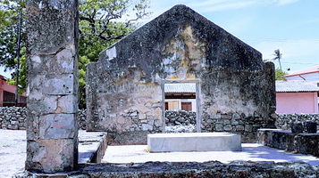 The Baobab tree - Delft