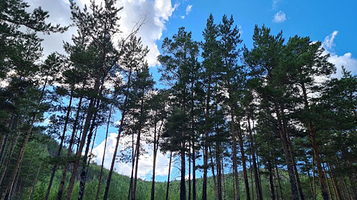 Rayonnyy Dom Kul'tury