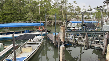 Santubong Wetland River Cruise